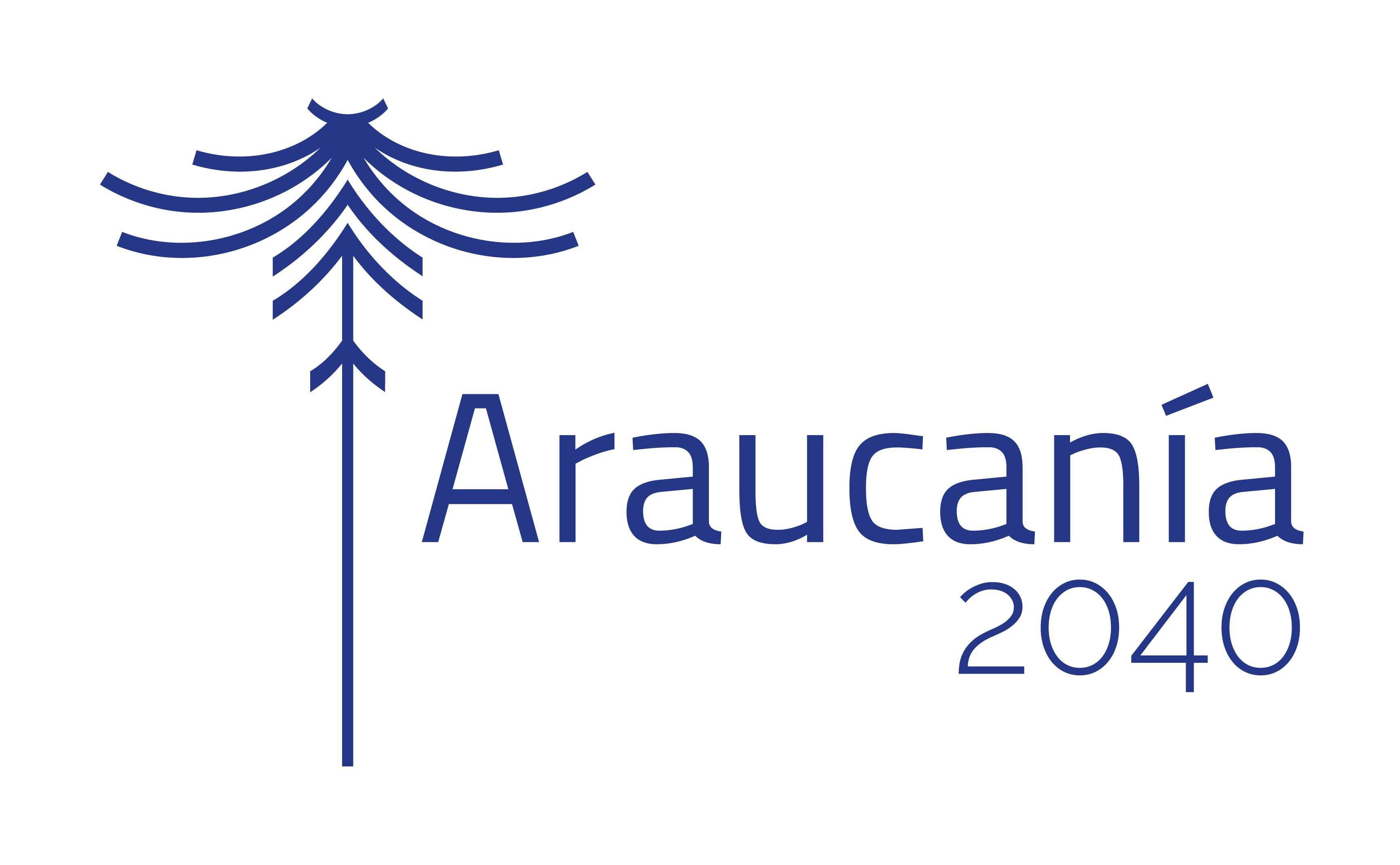 (c) Araucania2040.cl